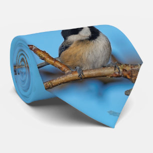 En svart-klädd Chickadee på Pear Träd Slips
