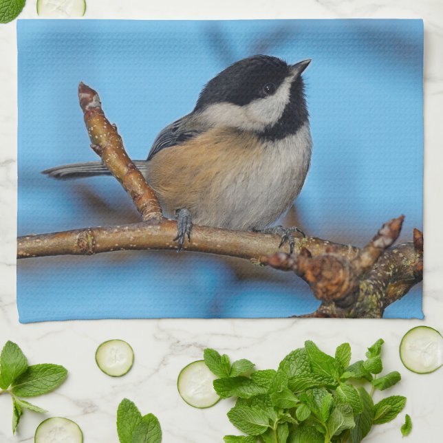 En svartkronad chickadee på Päronträdet Kökshandduk (Vikta)