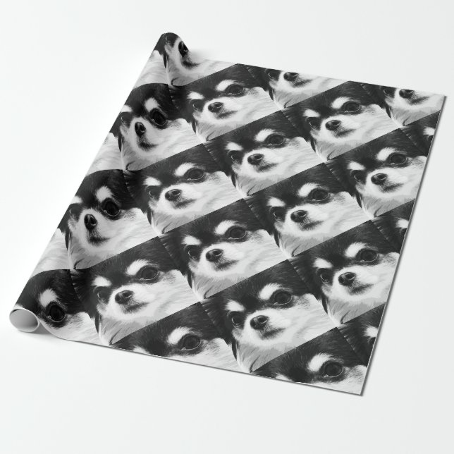 En svartvit Chihuahua Presentpapper (Utrullad)