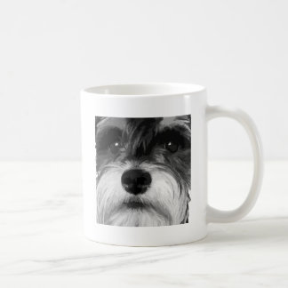 En svartvit miniatyrSchnauzer Kaffemugg