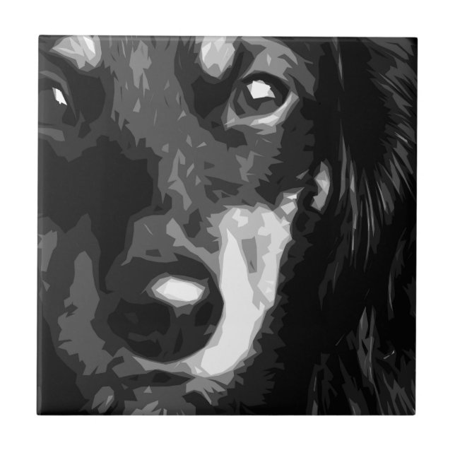 En svartvit miniatyrtax kakelplatta (Framsidan)