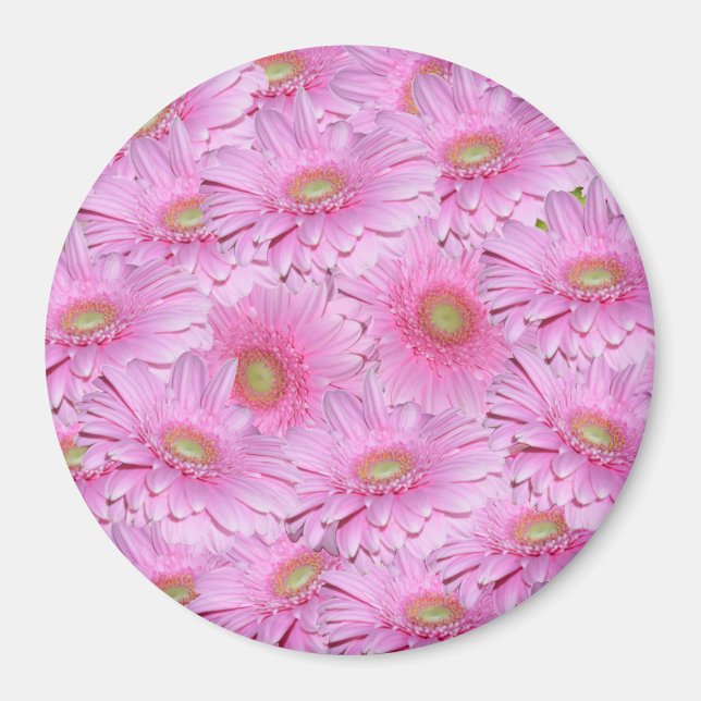 En symfoni av rosa gerbera blommor, magnet (Framsidan)