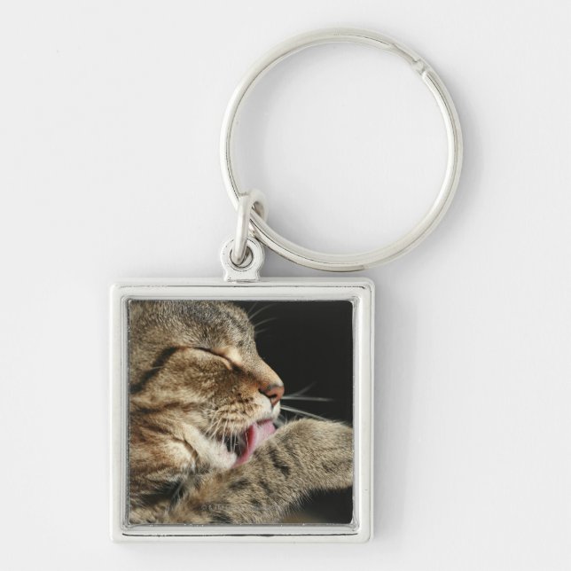 En tabby katt som slickar hans paw. fyrkantig silverfärgad nyckelring (Framsidan)