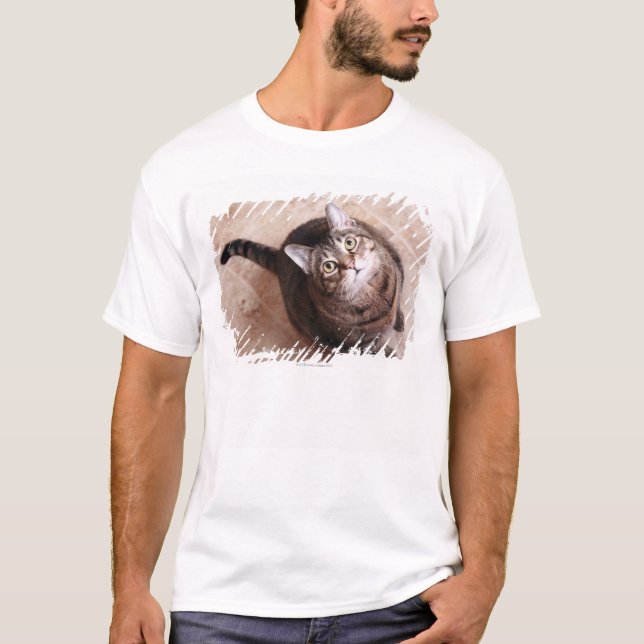En tabby katt som tittar upp t-shirt (Framsida)