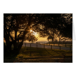 En tankfull kväll på Whalehead Hälsningskort