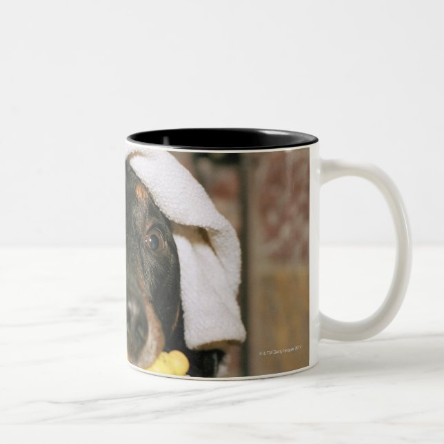 En tax som är bathed.s Två-Tonad mugg (Höger)