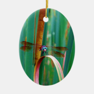 En teal Eyed Dragonfly med kattlar Julgransprydnad Keramik
