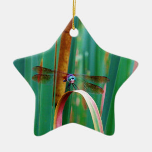 En teal Eyed Dragonfly med kattlar Julgransprydnad Keramik