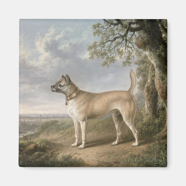 En Terrier på väg i ett skogslandskap Magnet (Framsidan)