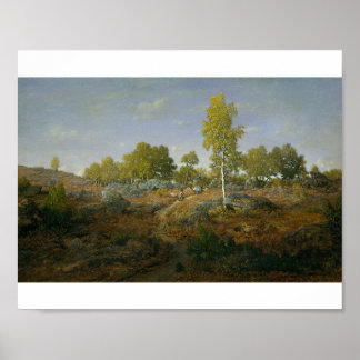 En tidig sommarmorgon i skogen poster