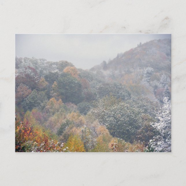 En Tidigt Snö i Fall Vykort (Framsida)