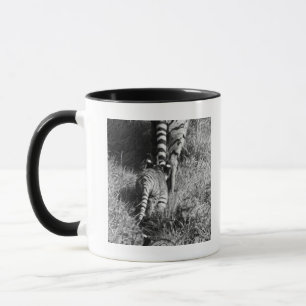En tiger med henne två ungar på den Whipsnade Mugg