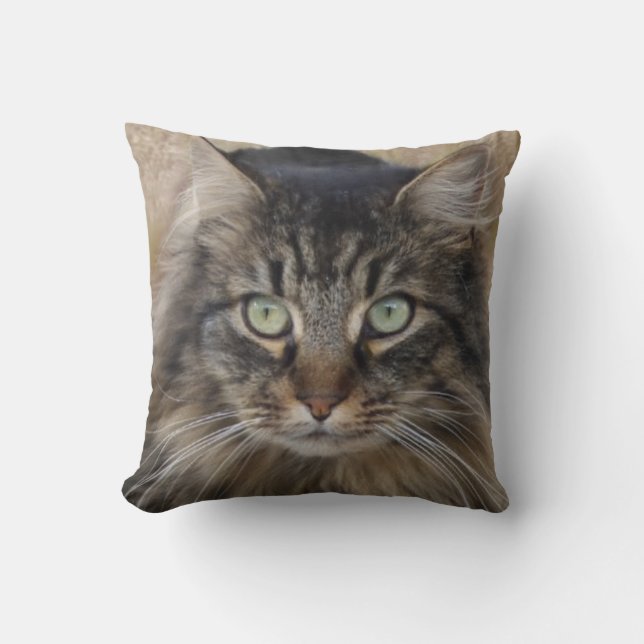En tigerkatt bild med underbart päls kudde (Framsida)