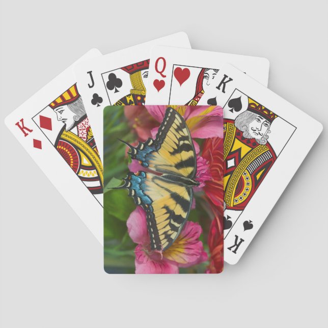 En tigerSwallowtail fjäril Casinokort (Baksidan)