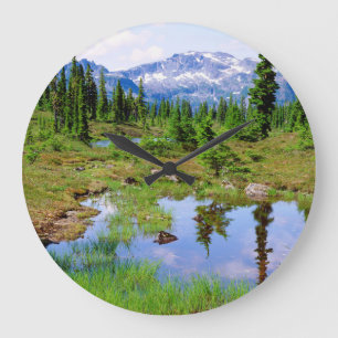 En tjärn i Vancouver Islands ödemark Stor Klocka