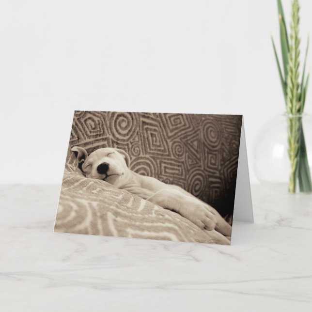 En tjock Hund Kort (Framsida)