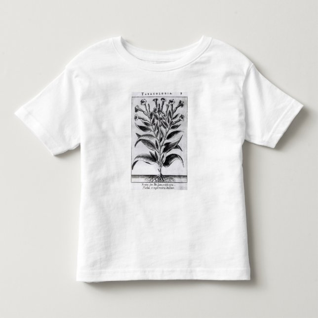En tobakväxt, 1622 tee shirt (Framsida)