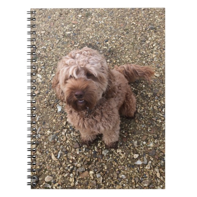En Toppen Sweet Cavapoo bärbar dator Anteckningsbok (Framsidan)