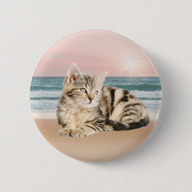 En torkad katt Sitta på stranden med solnedgång Knapp (Framsida)