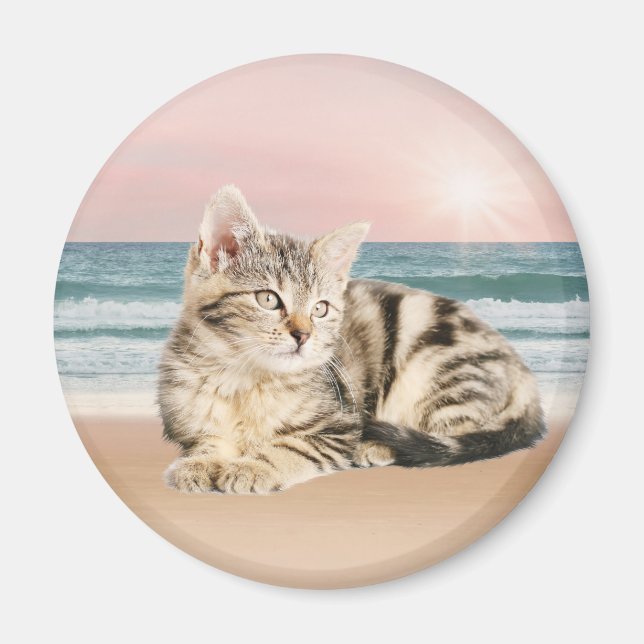 En torkad katt Sitta på stranden med solnedgång Magnet (Framsidan)
