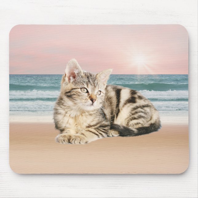 En torkad katt Sitta på stranden med solnedgång Musmatta (Framsidan)