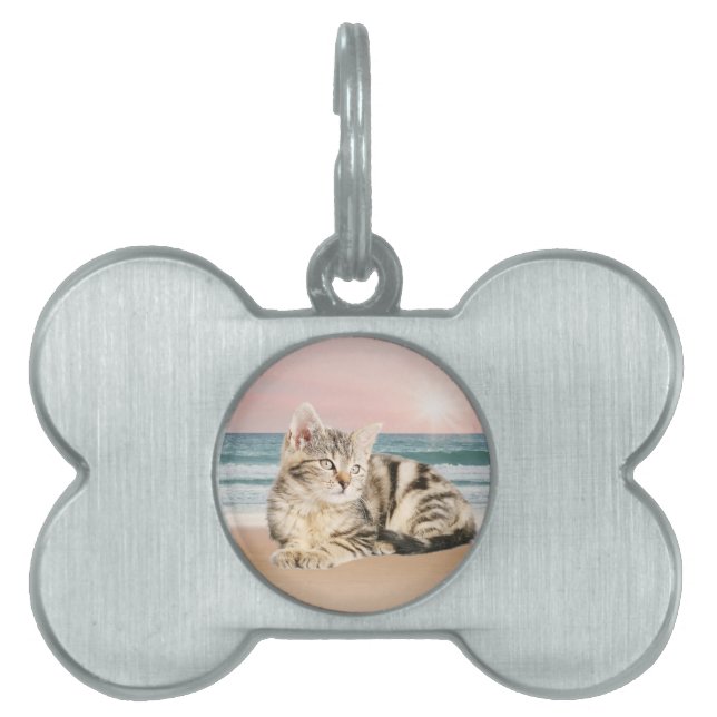 En torkad katt Sitta på stranden med solnedgång Namnbricka Husdjur (Framsidan)