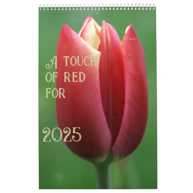 en touch av rött för 2025 kalender (Omslag)