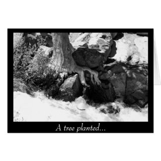 En Träd planerad.. Hälsningskort