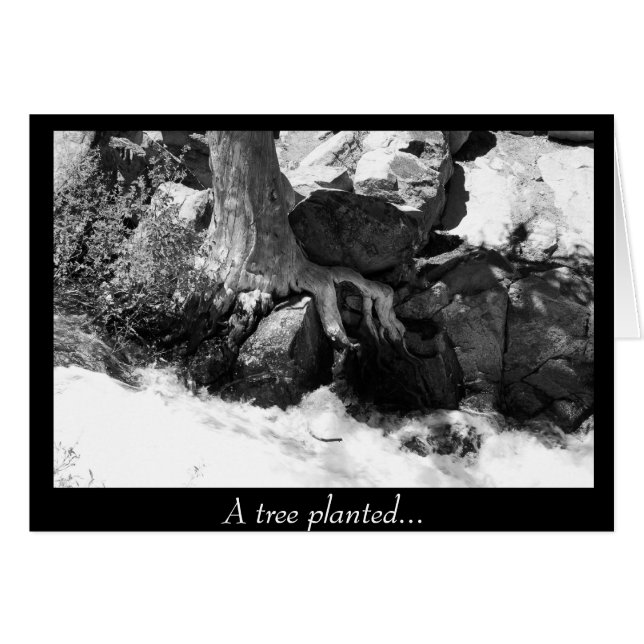 En Träd planerad.. Hälsningskort (Framsidan Horizontal)