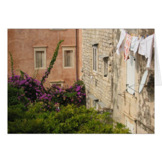 En trädgård i Dubrovnik OBS Kort