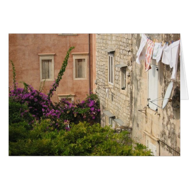 En trädgård i Dubrovnik OBS Kort (Framsidan Horizontal)