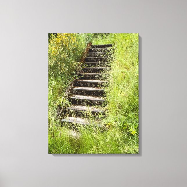 En trappa i gräset canvastryck (Framsida)