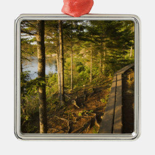 En träpromenad i Acadia National Park Maine Julgransprydnad Metall