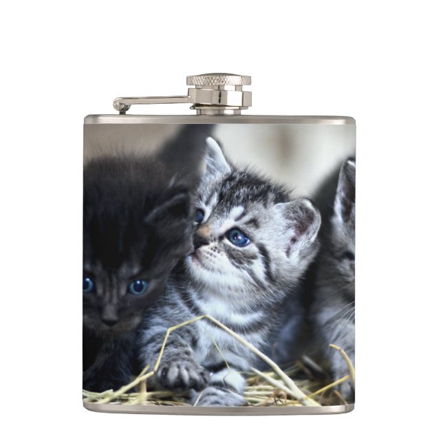 En trio Kittens Nesseled Together Fickplunta (Framsidan)