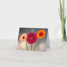 En trippel Gerbera vikt gratulationskort Kort
