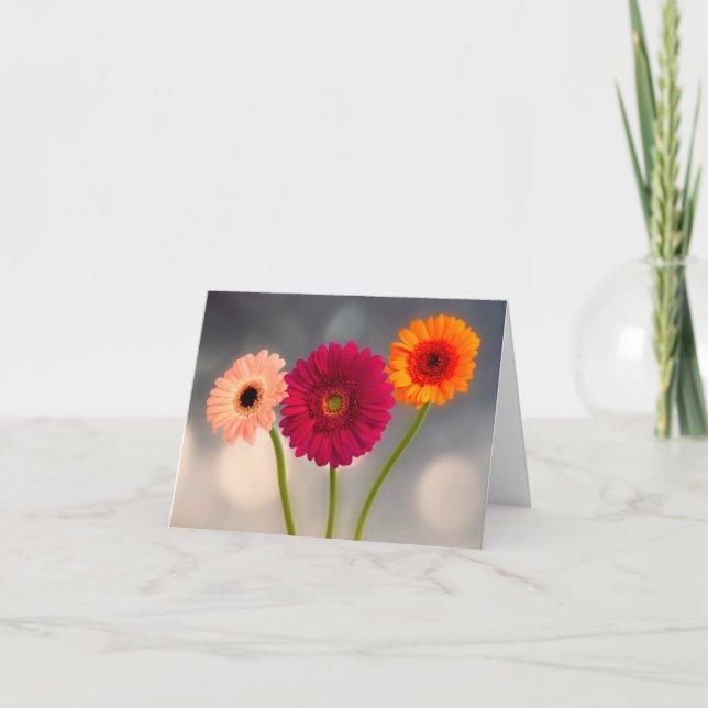En trippel Gerbera vikt gratulationskort Kort (Framsida)