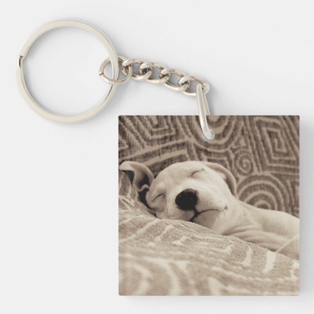 En trött hund (Framsidan)