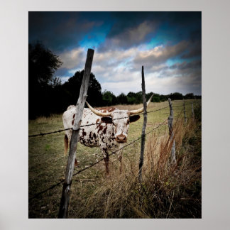 En True Texas Longhorn Poster