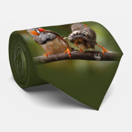 En tuff fläkt av Zebra Finches Slips