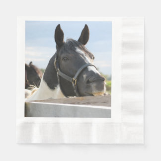 En tuff tuggning på ett stängslet pappersservett