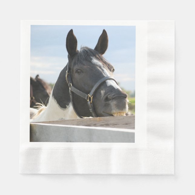 En tuff tuggning på ett stängslet pappersservett (Framsidan)