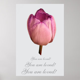 En tulpanblomma poster