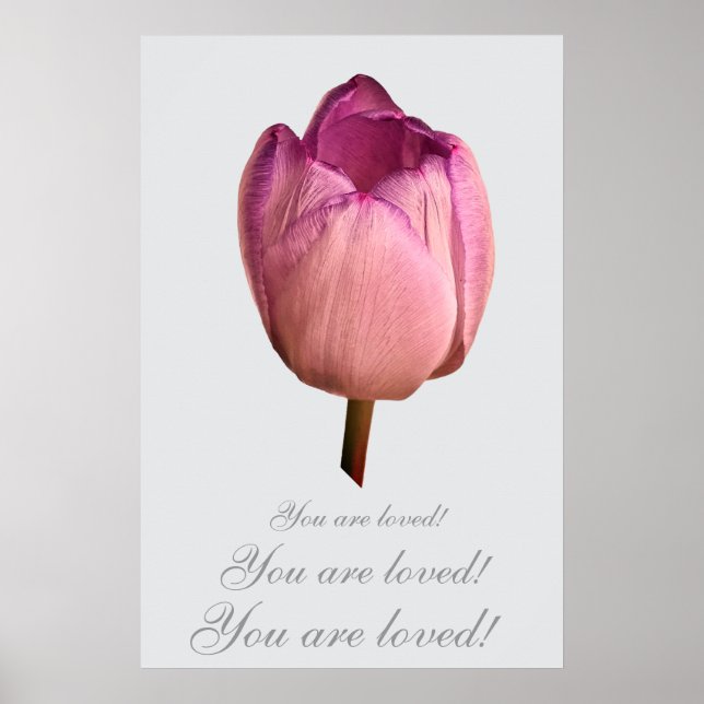En tulpanblomma poster (Framsidan)