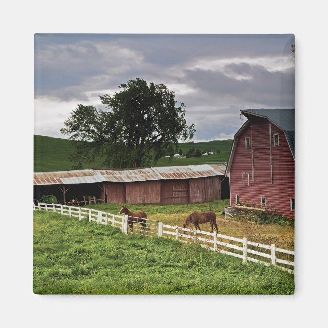 En tur genom gården land i Palouse 4 Magnet (Framsidan)