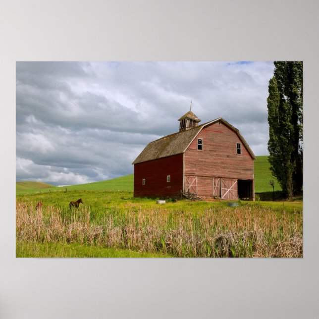 En tur genom gården land i Palouse 4 Poster (Framsidan)