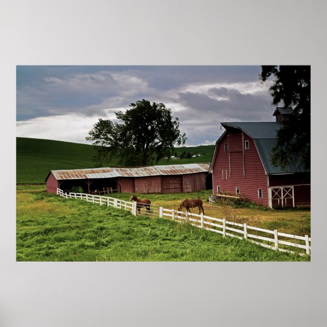 En tur genom gården land i Palouse 4 Poster (Framsidan)