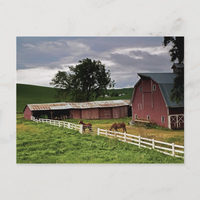 En tur genom gården land i Palouse 4 Vykort (Framsida)