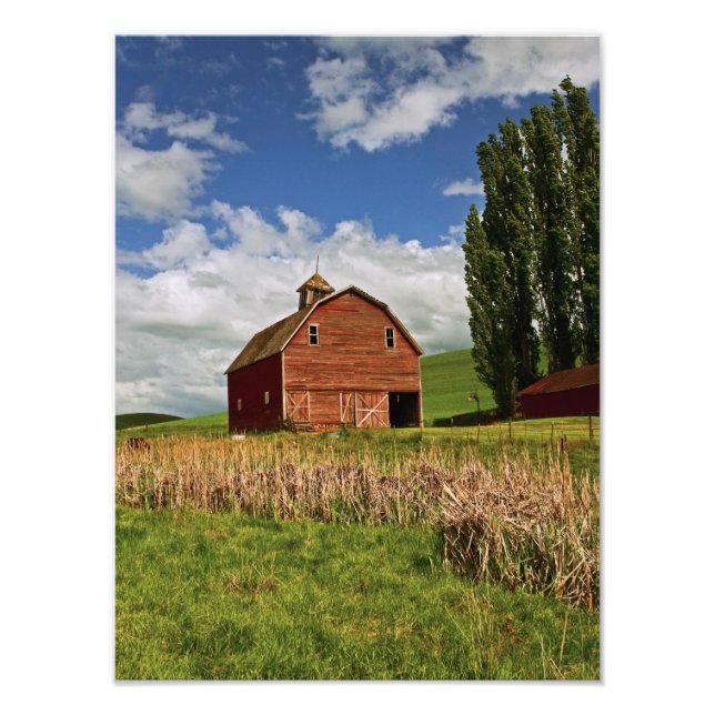 En tur genom gården land i Palouse Fototryck (Framsidan)