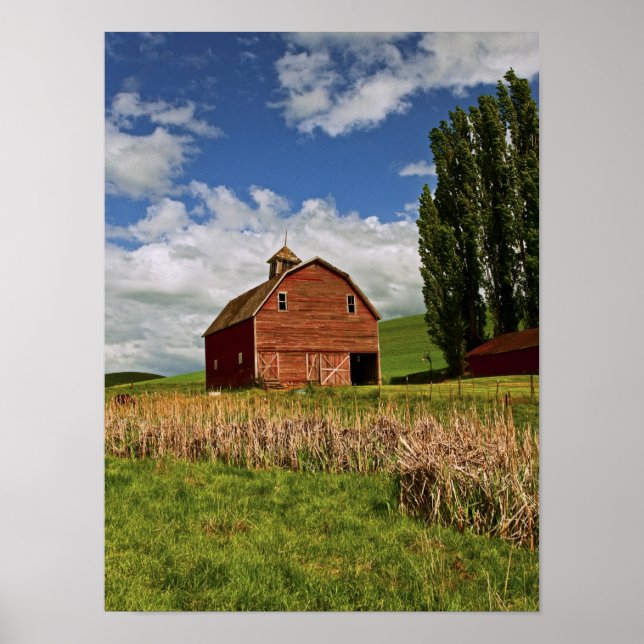 En tur genom jordbrukslandet Palouse Poster (Framsidan)
