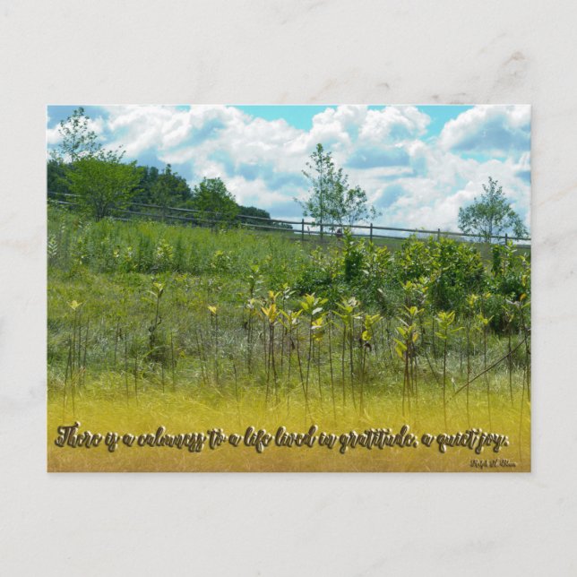 En tyst Joy Vykort (Framsida)